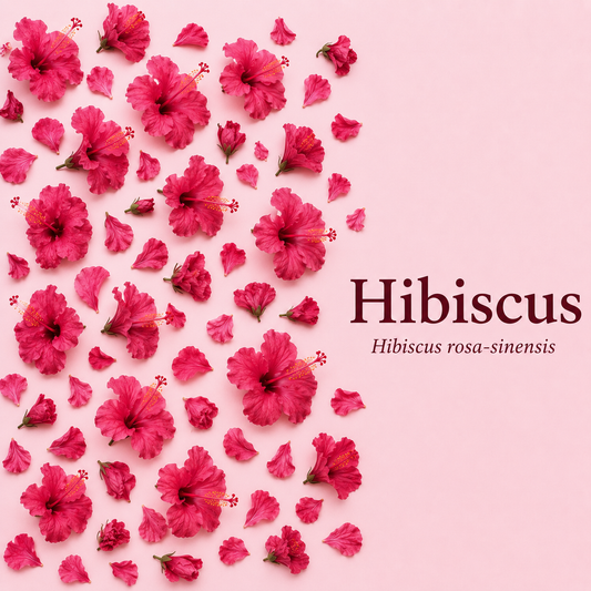 Hibiscus Powder for Hair Growth | For Hair wash and Shampoo | 100% Pure and Natural | Suitable for all hair types | 100 Gms Each Combo (Pack of 2)