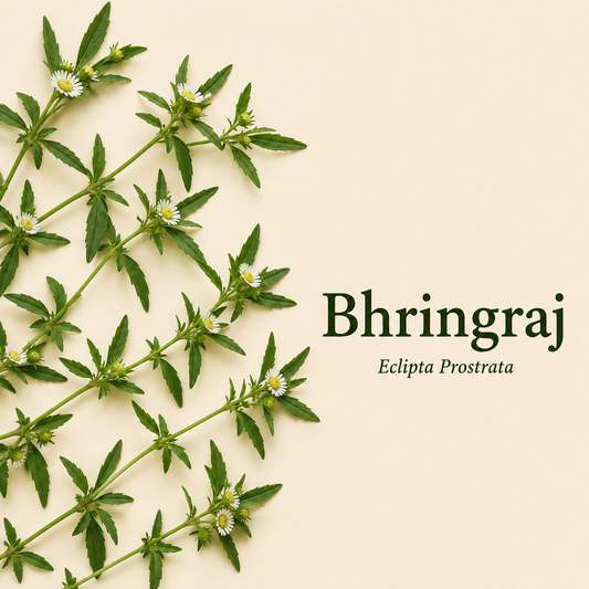 Bhringraj Powder for Hair Growth | Ideal for Hair, Face and Skin |  False Daisy Powder 100 Gms Each Combo (Pack of 2)