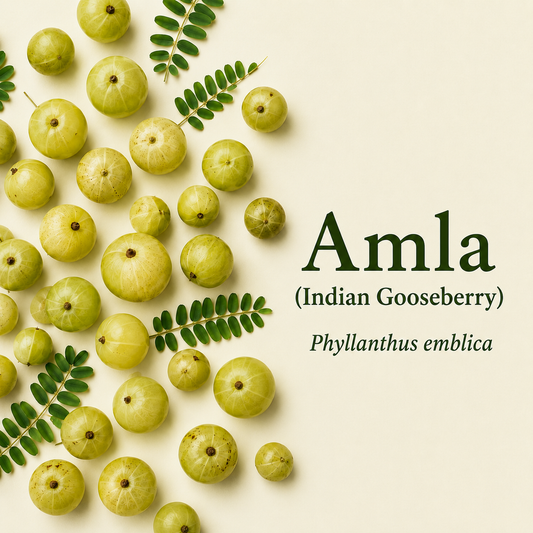 Dry Amla Powder for Hair Growth Organic (100 Grams) | Avla Gooseberry Fruit Churna (Pack Of 2)