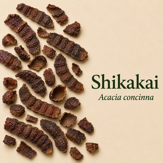 Shikakai Powder for Hair Growth | For Hair wash and Shampoo | 100% Pure and Natural | SLS and Paraben free | Suitable for all hair types |   100 Gms Each Combo (Pack of 2)