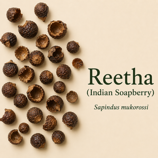 Reetha Powder for Hair Growth | Ideal for Hair, Face and Skin | Soapnut powder 100 Gms Each Combo (Pack of 2)