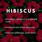 ANJULRAJAM Hibiscus Bhringraj Hair Oil | Ayurvedic Herbal Oil for Hair Growth & Hair Fall Control | Nourishes Scalp & Strengthens Roots | For All Hair Types - Image 3