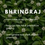 ANJULRAJAM Hibiscus Bhringraj Hair Oil | Ayurvedic Herbal Oil for Hair Growth & Hair Fall Control | Nourishes Scalp & Strengthens Roots | For All Hair Types - Image 2