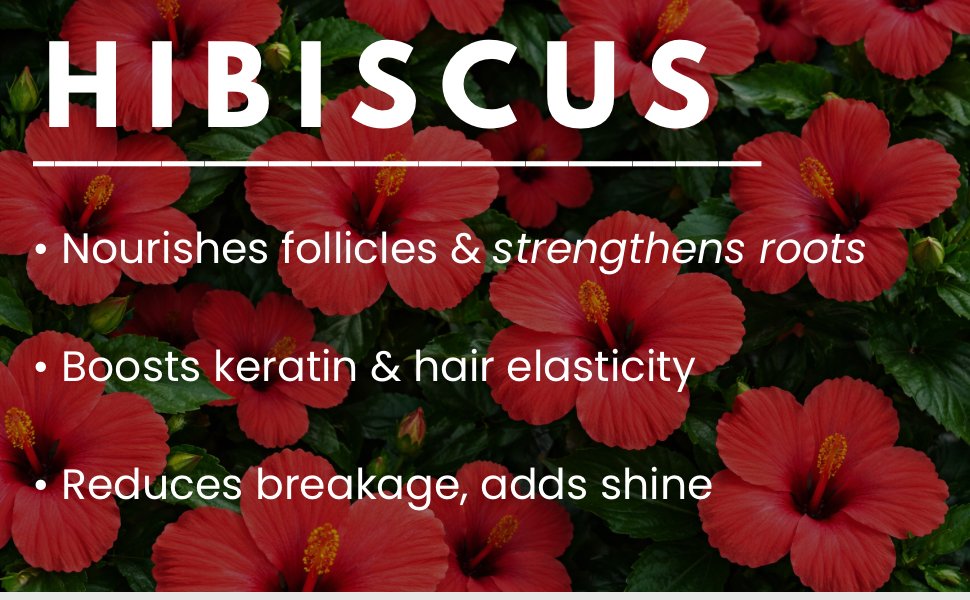 Anjulrajam Hair Oil - Key Ingredients