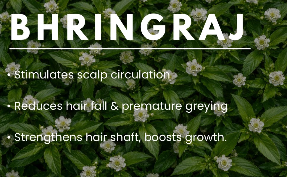 Anjulrajam Hibiscus Bhringraj Hair Oil - Ayurvedic Hair Care